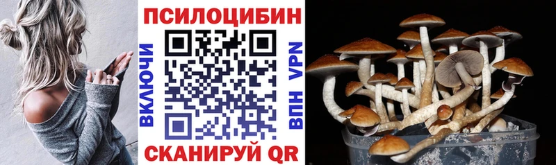 Псилоцибиновые грибы GOLDEN TEACHER  продажа наркотиков  Ртищево 